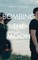 Bombing the Moon