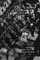 Wiener Philharmoniker 1 - Vienna Philharmonic and Vienna State Opera Orchestras. Discography Part 1 1905-1954. [2000].