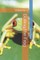 Boiling the Frog
