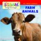 Farm Animals