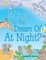What Do You Dream of at Night?