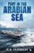 Fury in the Arabian Sea