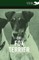 The Fox Terrier - A Complete Anthology of the Dog