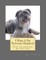 I Want A Pet Pyrenean Shepherd