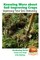 Knowing More about Soil Improving Crops - Improving Your Soil Naturally