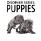 Puppies