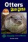 Otters For Kids