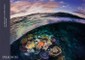 Two Worlds: Above and Below the Sea