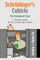 SchrÃ¶dinger's Cubicle or The Tyranny of Lean - A Business Guide for the Cynical Cube Dweller