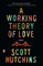 A Working Theory of Love
