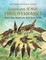 Adventures Of Moti A Birdie In A Box Book 6