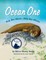 Ocean One