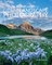 The Art, Science, and Craft of Great Landscape Photography