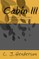 Cabin III