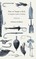 How to Tempt a Fish - A Complete Guide to Fishing