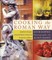 Cooking the Roman Way