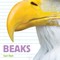 Whose Is It? Beaks
