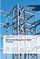 Advanced Analysis of Steel Frames