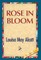 Rose in Bloom