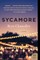 Sycamore