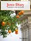 Jerez Diary: Andalucía from the Inside