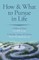 How & What to Pursue in Life