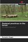 Pastoral practices in the forest