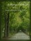 A Martyr's Path