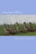 Amusing to Observe