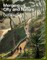 Merging City & Nature