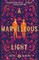 A Marvellous Light