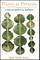 Plants as Persons