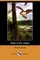 Edge of the Jungle (Dodo Press)