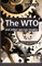The WTO and other non-tax treaties