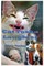 Cat Tosha Laughter