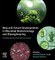 New and Future Developments in Microbial Biotechnology and Bioengineering