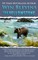 The Yellowstone