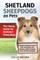 Shetland Sheepdogs as Pets