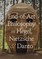 End-of-Art Philosophy in Hegel, Nietzsche and Danto