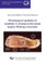 Physiological regulation of symbiotic N2 fixation in the model legume