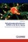 Dehydroepiandrosterone (DHEA) and Brain Aging