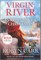 A Virgin River Christmas