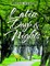 Latin Days and Nights: Tales of Javier
