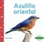 Azulillo Oriental (Eastern Bluebirds)