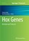 Hox Genes