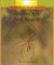 Spiders Are Not Insects (Rookie Read-About Science: Animals)