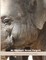 An Elephant Never Forgets