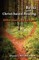 Reiki and Christ-Based Healing