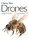 Honey Bee Drones
