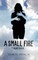 A Small Fire